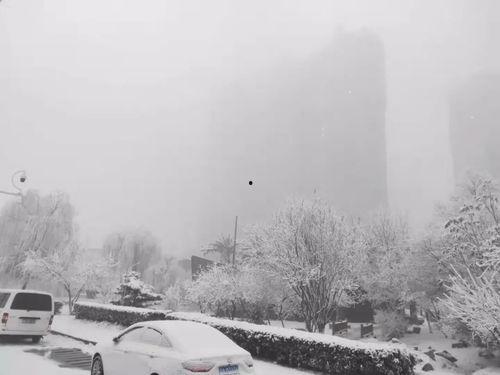 石家庄爆料下雪事件最新,城市交通受阻，市民生活受影响