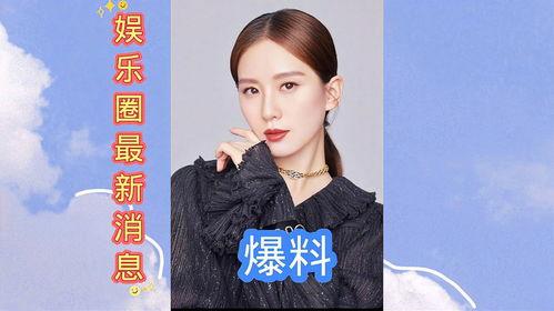 娱乐圈最新爆料入口